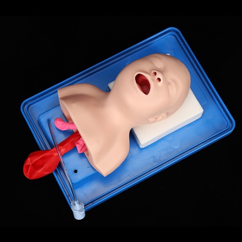 Airway management trainer - management,
