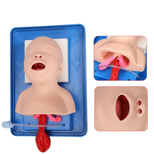 Intubation manikin study - intubation,