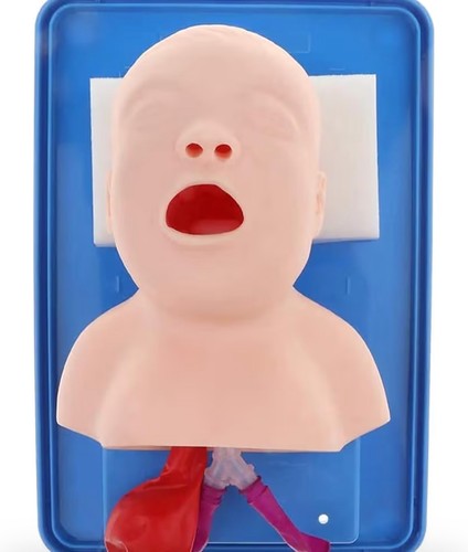 Intubation manikin study - manikin, baby