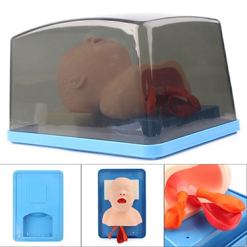 Intubation manikin trainer - manikin,
