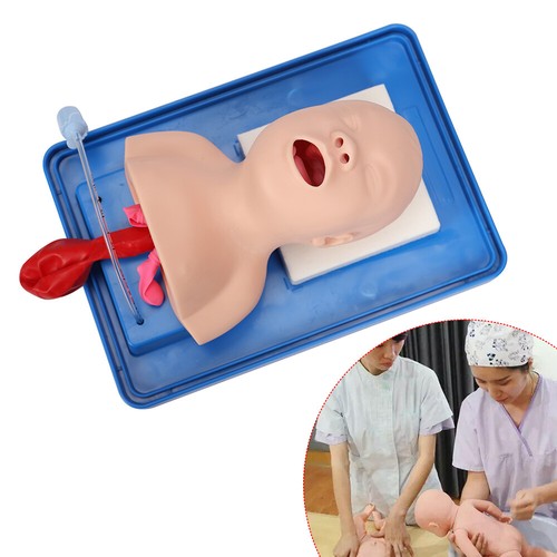 Intubation manikin study baby - study,