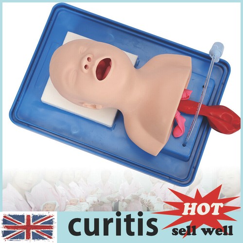 Airway management trainer - management,