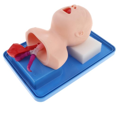 Intubation manikin study - manikin,
