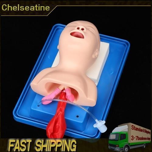 Airway management trainer - airway,