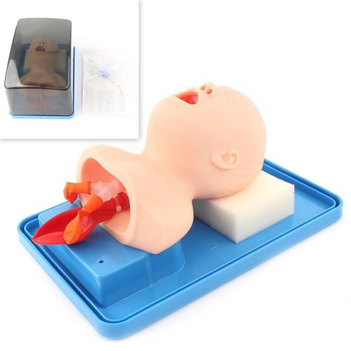 Intubation manikin study - manikin,