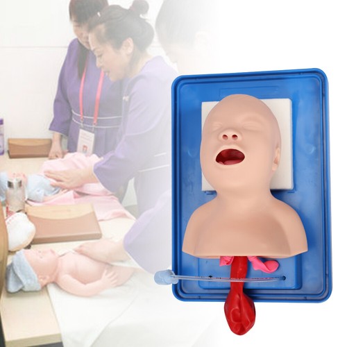 Lab airway intubation - airway, manikin