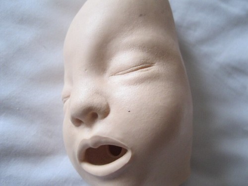 Baby anne cpr manikin - , airways