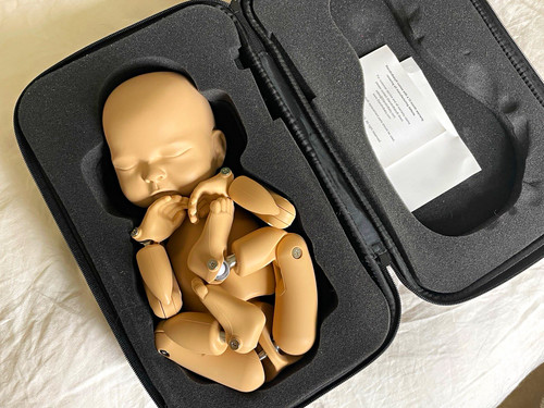 Standinbaby infant training - standinbaby,