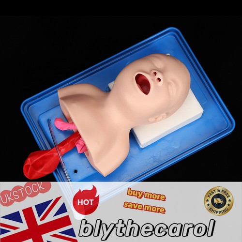 Airway management trainer - airway,