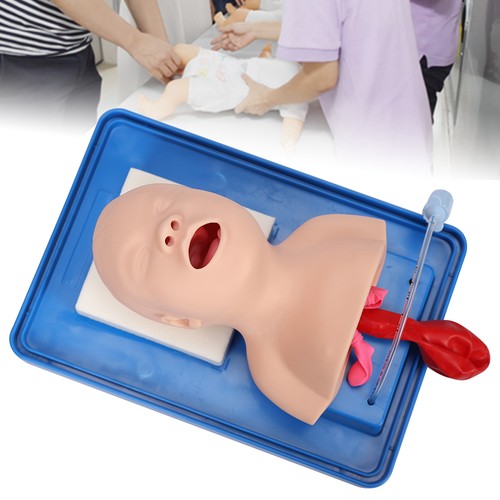 Lab airway intubation manikin - airway,