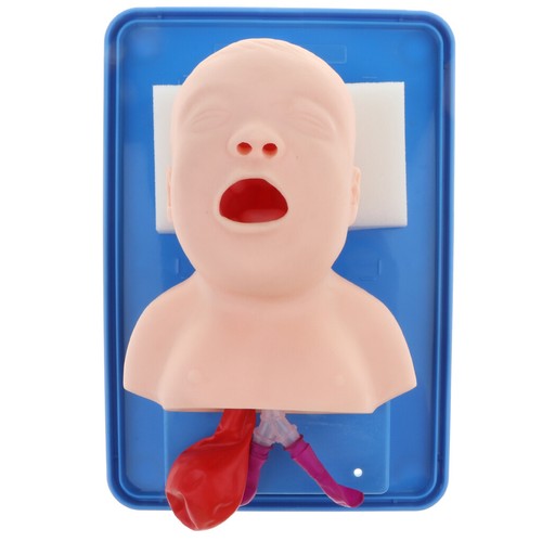 Baby infant intubation manikin - intubation,