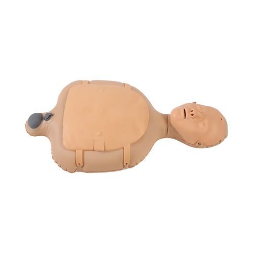 Adult and infant - 1x(adult,